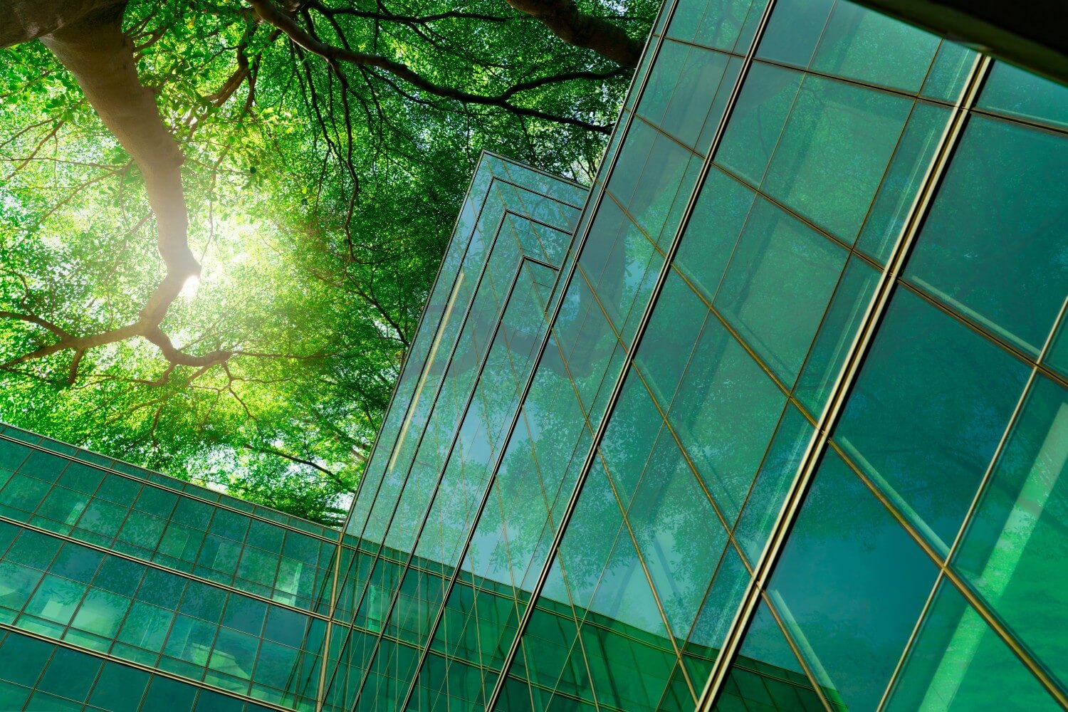 Edificio Sostenible de vidrio